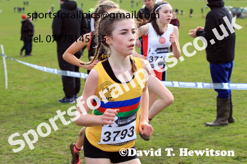 Girls Under-15s 2022 CAU Inter Counties Cross Country, Prestwold Hall, Loughborough.  Photo: David T. Hewitson/Sports for All Pics